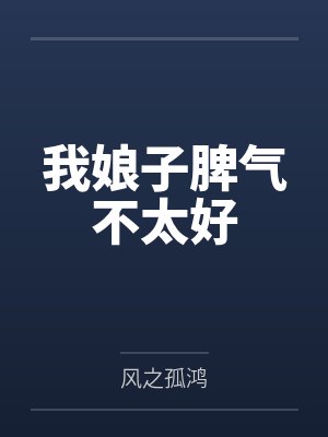 我娘子脾气不太好小说封面