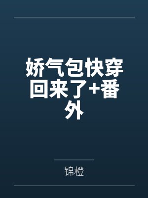 苏糯沈执小说封面