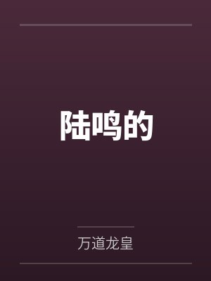 陆鸣的封面
